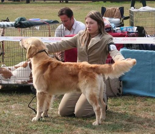 handling (64).jpg